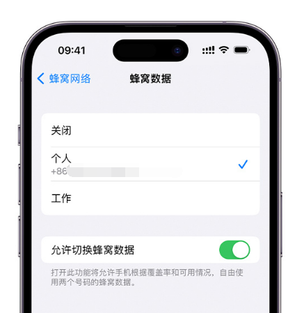 本溪苹果维修服务分享如何在iPhone上使用双卡 